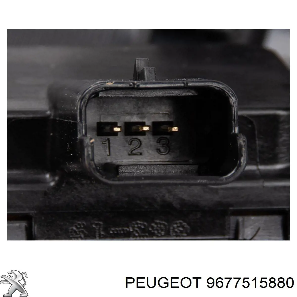 9677515880 Peugeot/Citroen válvula de borboleta montada