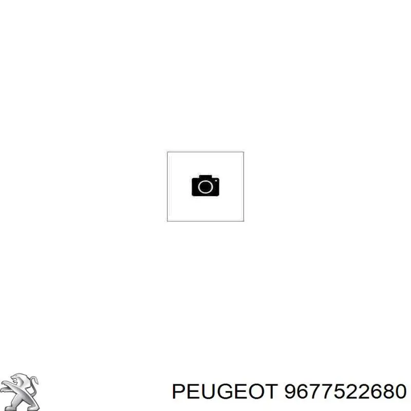 9677522680 Peugeot/Citroen 