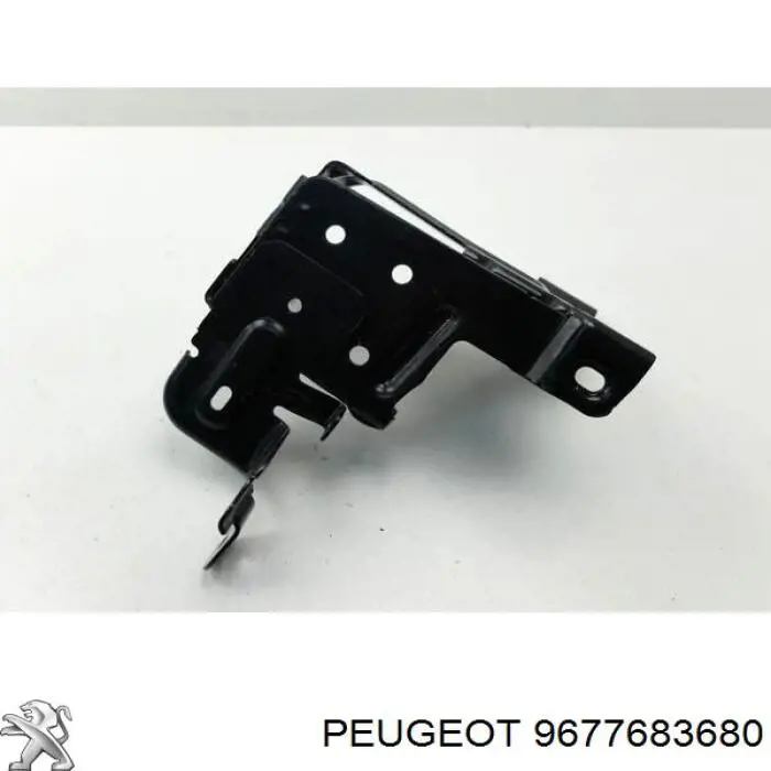 9677683680 Peugeot/Citroen 