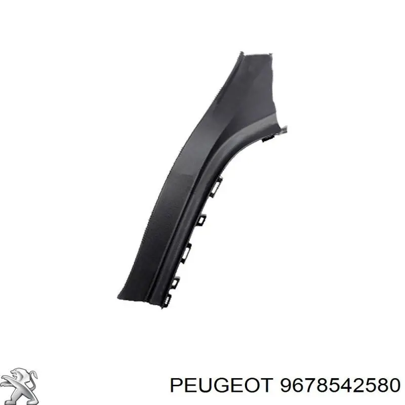 9678542580 Peugeot/Citroen placa sobreposta da luz traseira