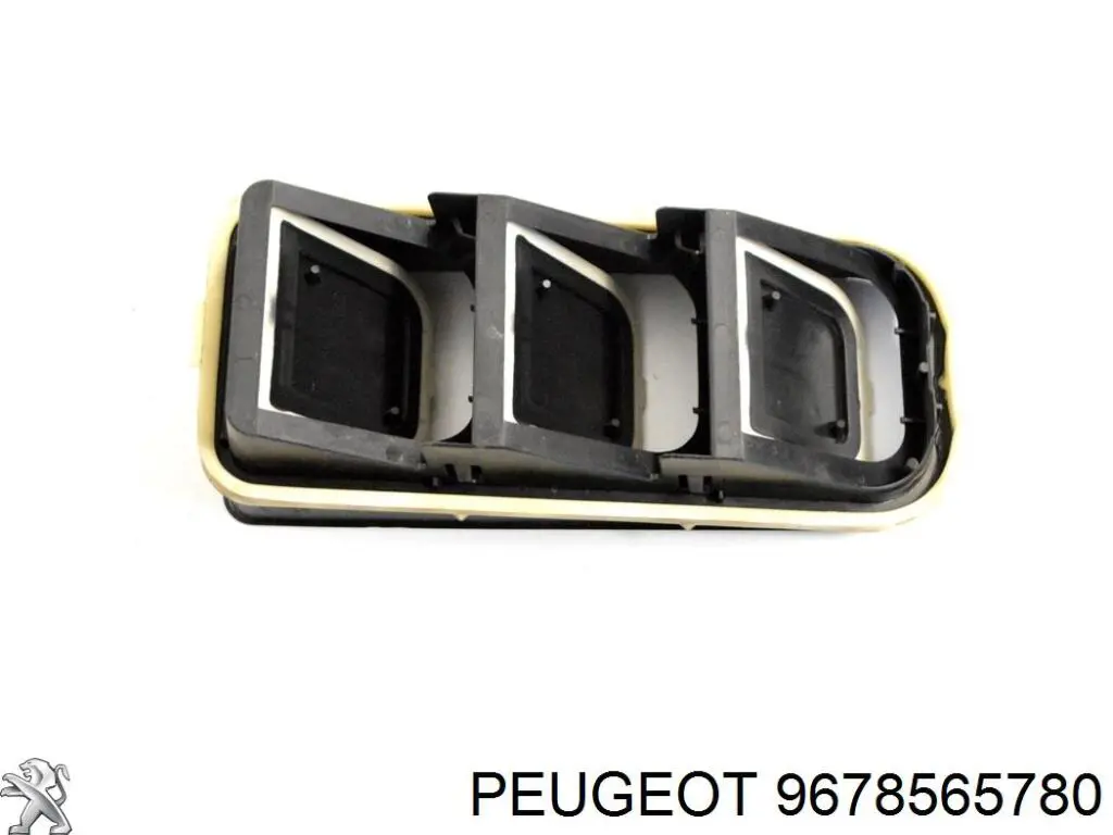 9678565780 Peugeot/Citroen 