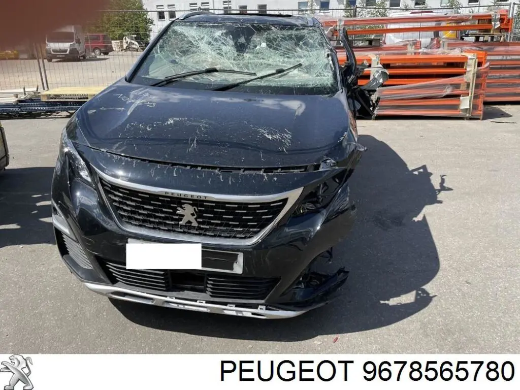  9678565780 Peugeot/Citroen