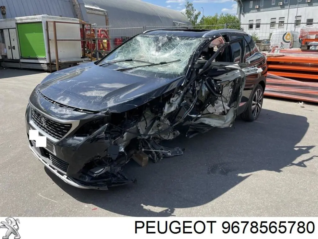 Купить 9678565780 Peugeot/Citroen 