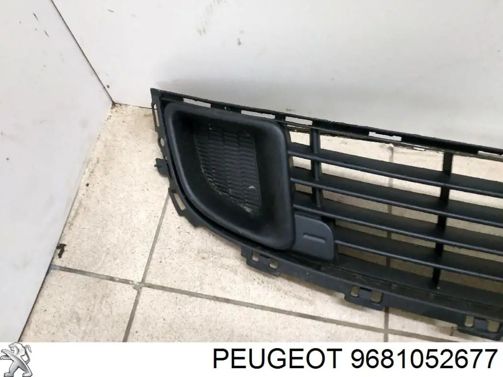 9681052677 Peugeot/Citroen 