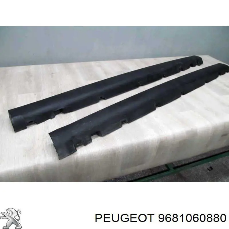 9681060880 Peugeot/Citroen 