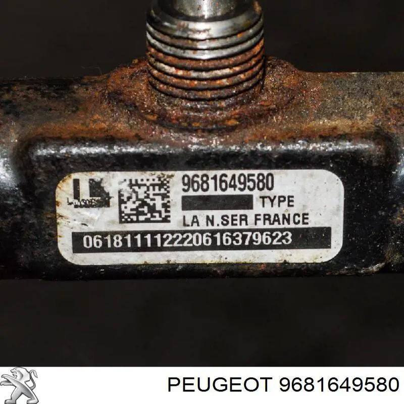 Купить 9681649580 Peugeot/Citroen Распределитель топлива (рампа)