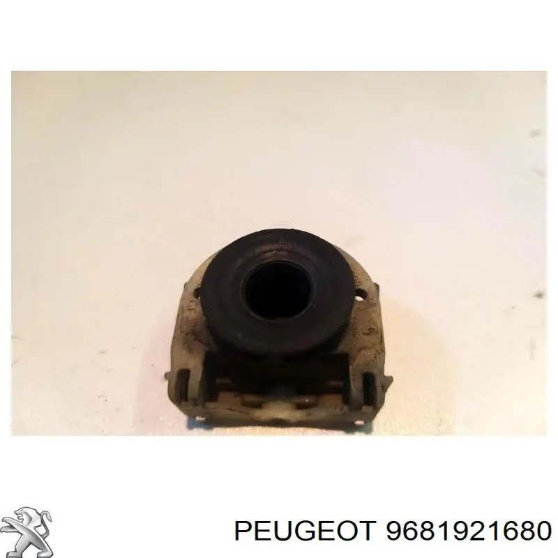 9681921680 Peugeot/Citroen 