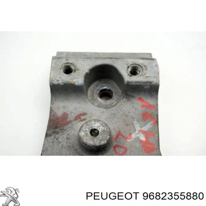 9682355880 Peugeot/Citroen 