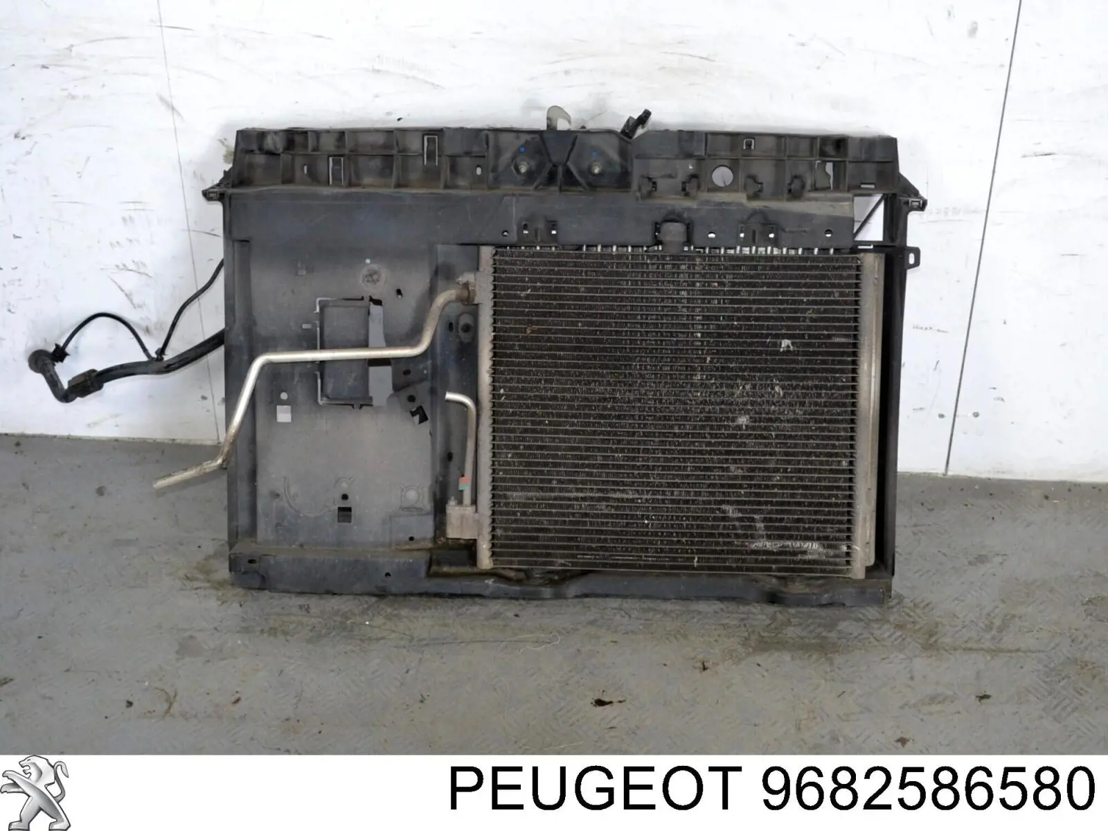  9682586580 Peugeot/Citroen
