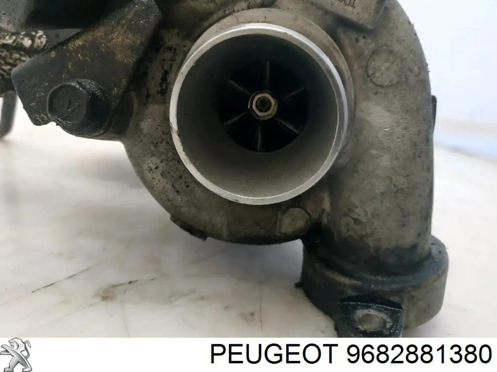 9682881380 Peugeot/Citroen turbina