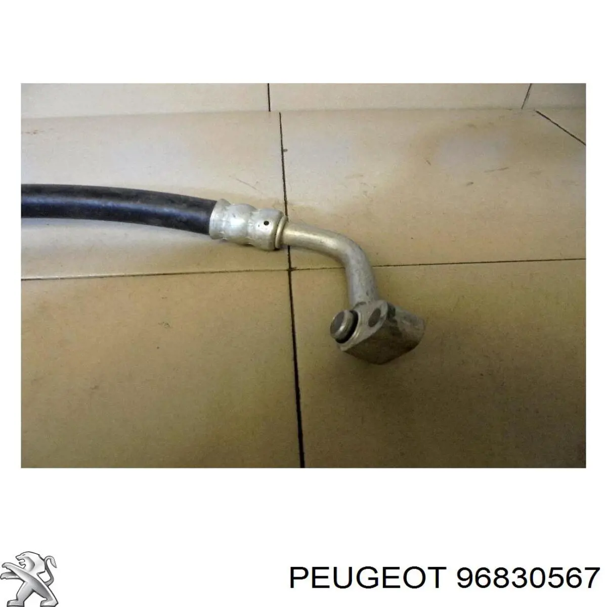SF69Y02803120 ZAZ 