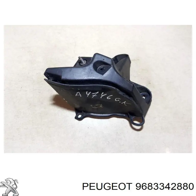 9683342880 Peugeot/Citroen 