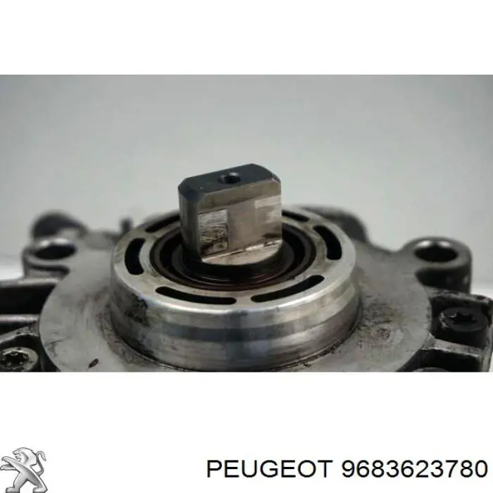 9683623780 Peugeot/Citroen 