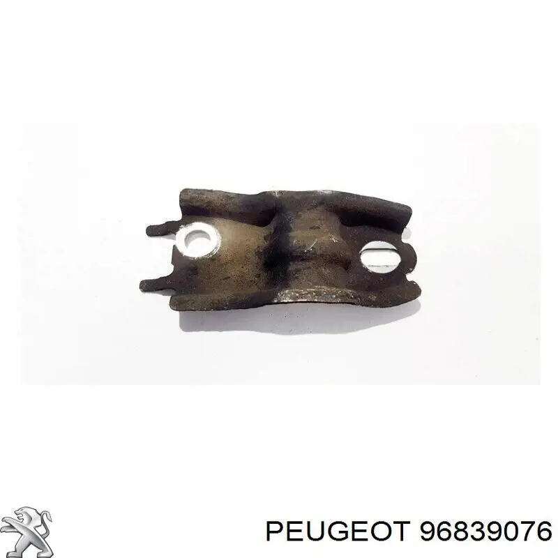 96839076 Peugeot/Citroen 
