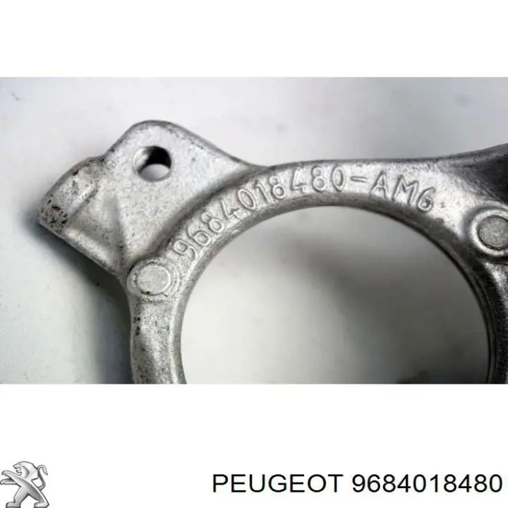 9684018480 Peugeot/Citroen 