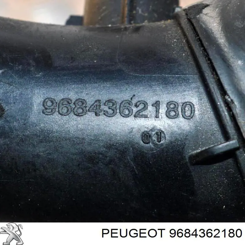  FT49935 Fast