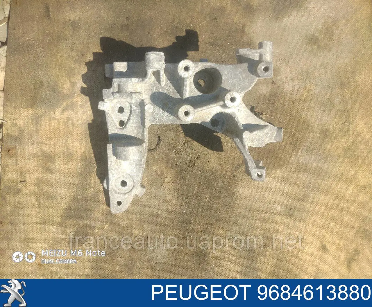 9684613880 Peugeot/Citroen 