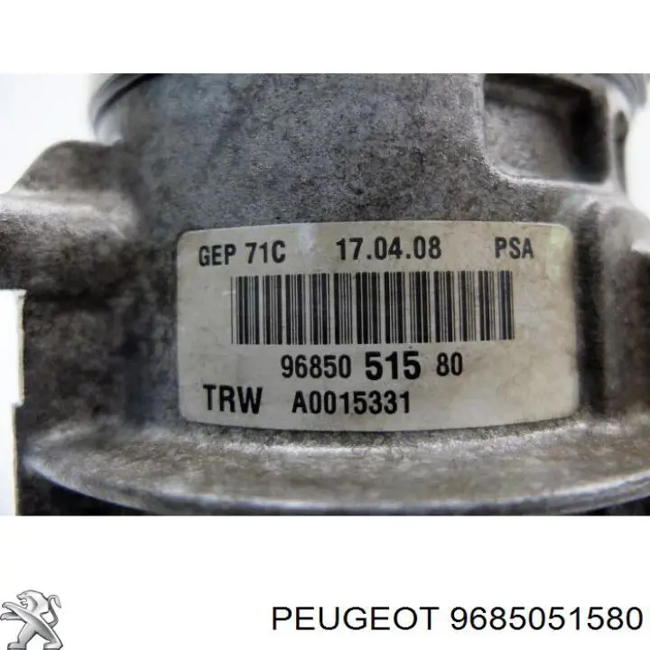 9685051580 Peugeot/Citroen bomba da direção hidrâulica assistida