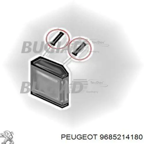 9685214180 Peugeot/Citroen mangueira (cano derivado de intercooler)