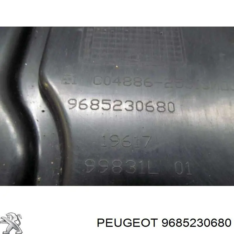 9685230680 Peugeot/Citroen 