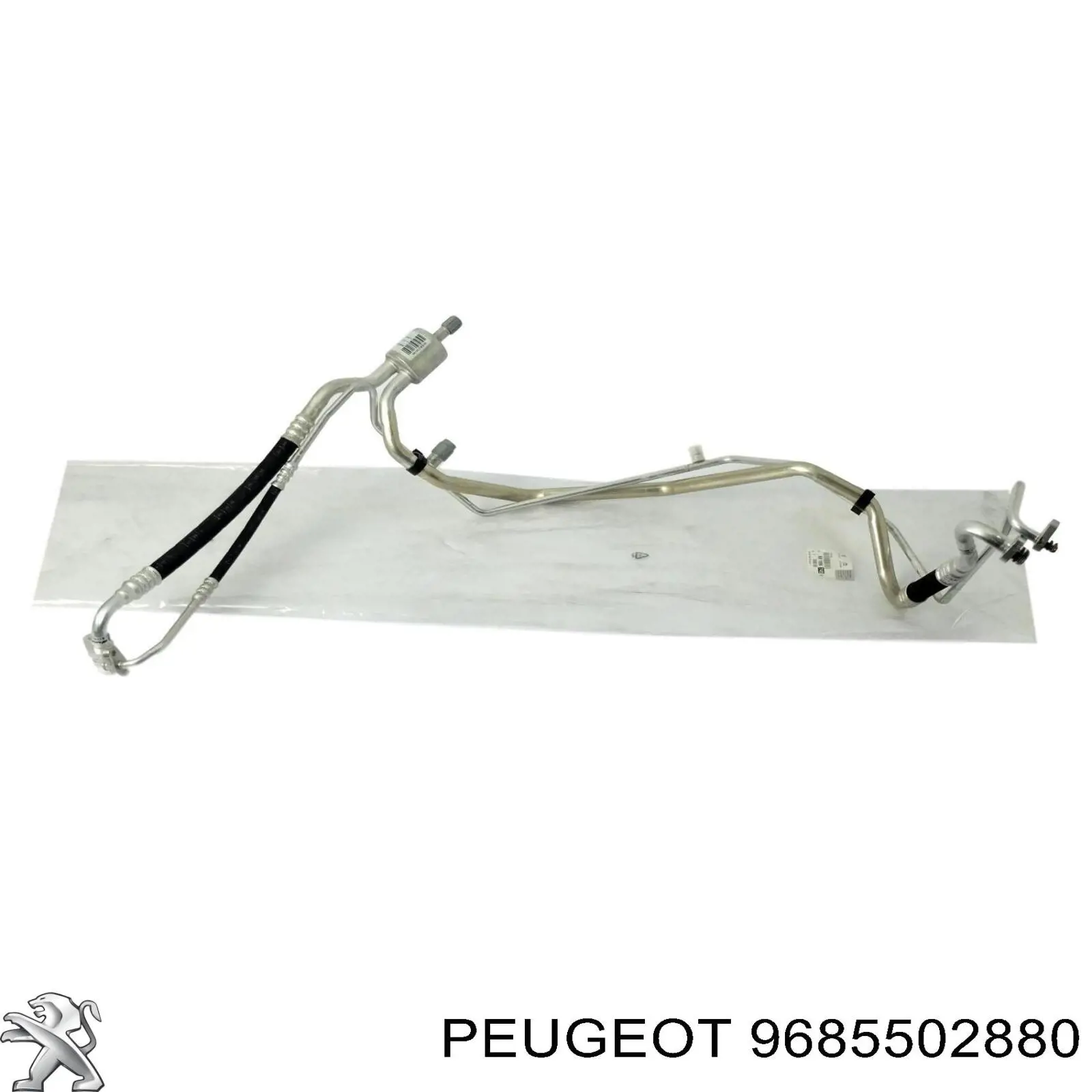 9685502880 Peugeot/Citroen 