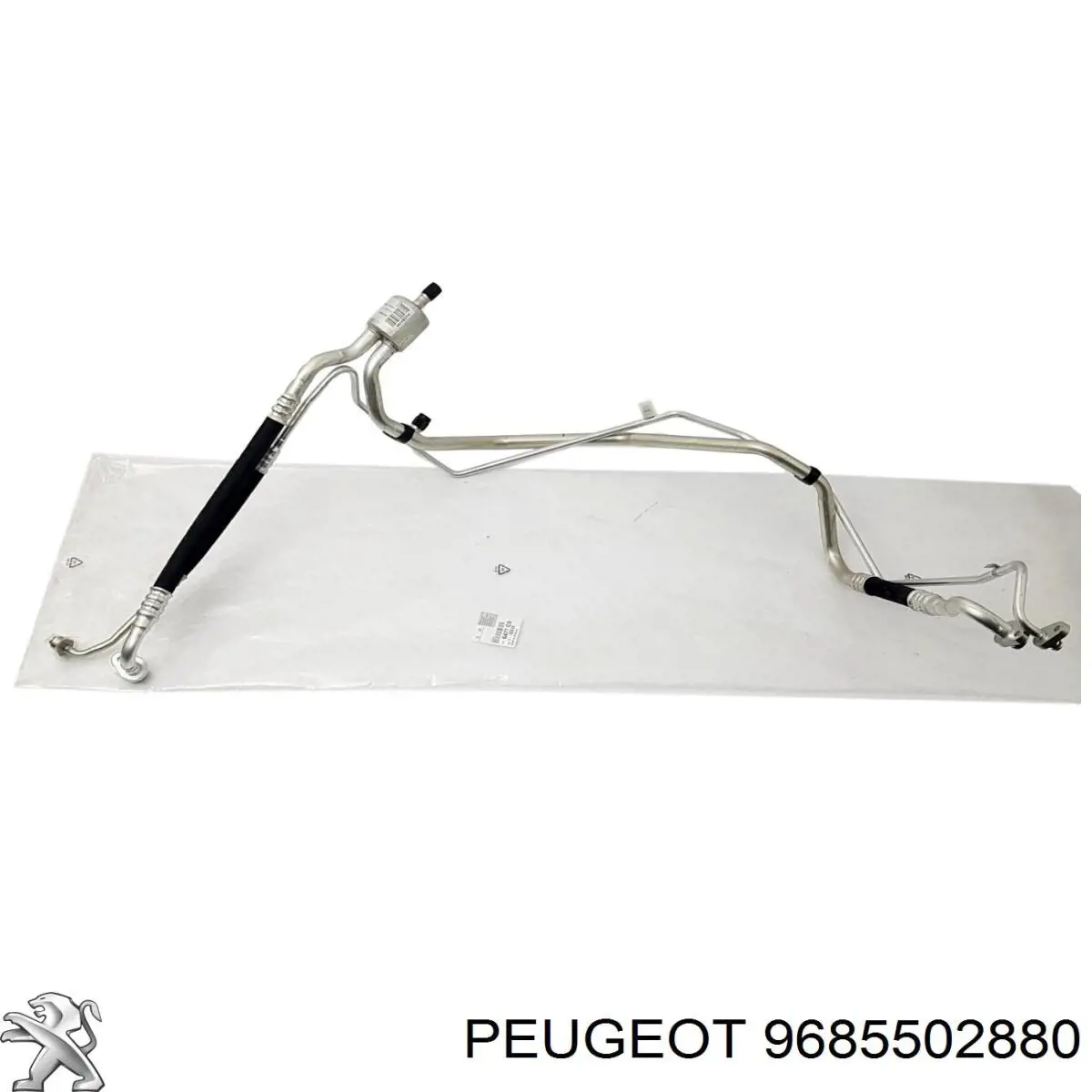  9685502880 Peugeot/Citroen