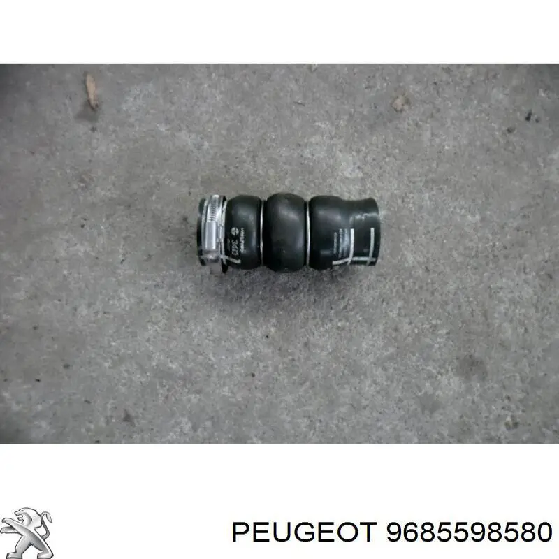 9685598580 Peugeot/Citroen 