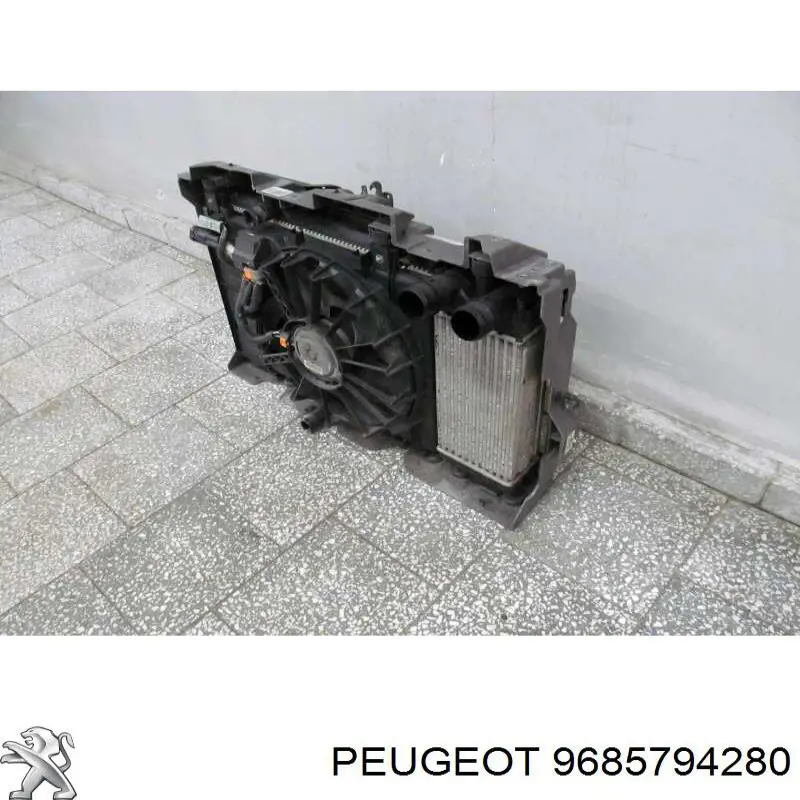 9685794280 Peugeot/Citroen 