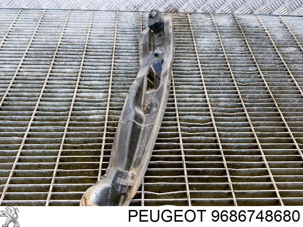 Купить 9686748680 Peugeot/Citroen 
