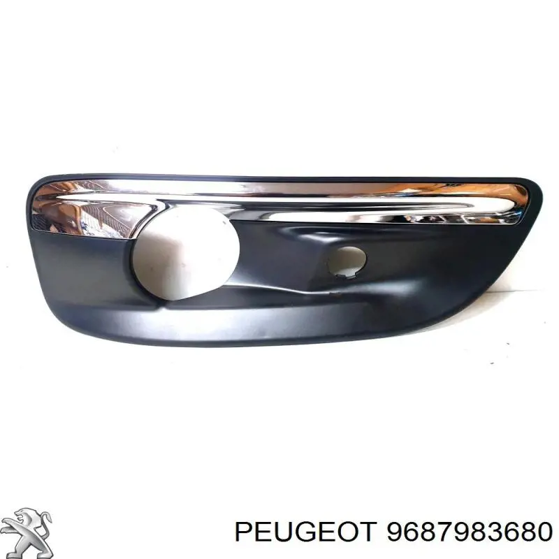  9687983680 Peugeot/Citroen