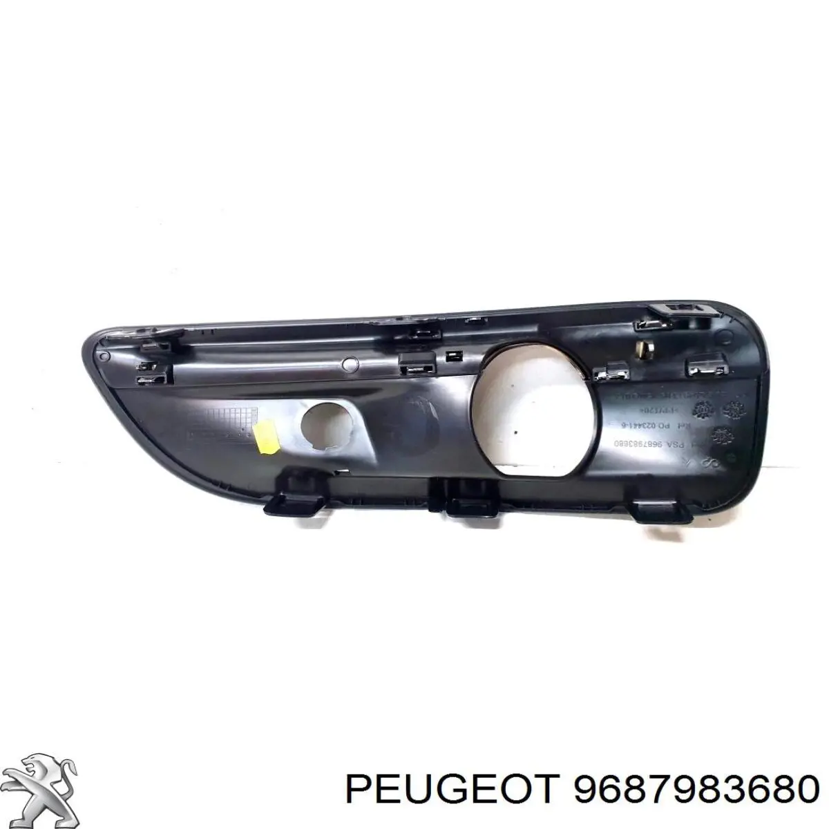 9687983680 Peugeot/Citroen 