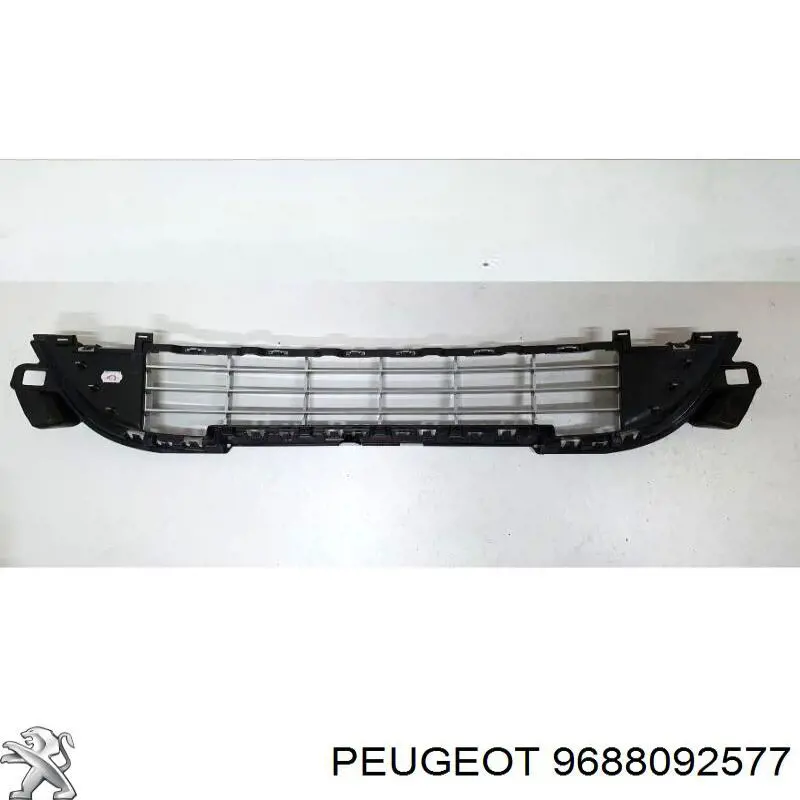 9688092577 Peugeot/Citroen 