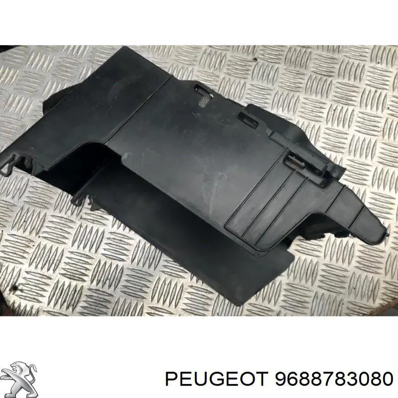  9688783080 Peugeot/Citroen