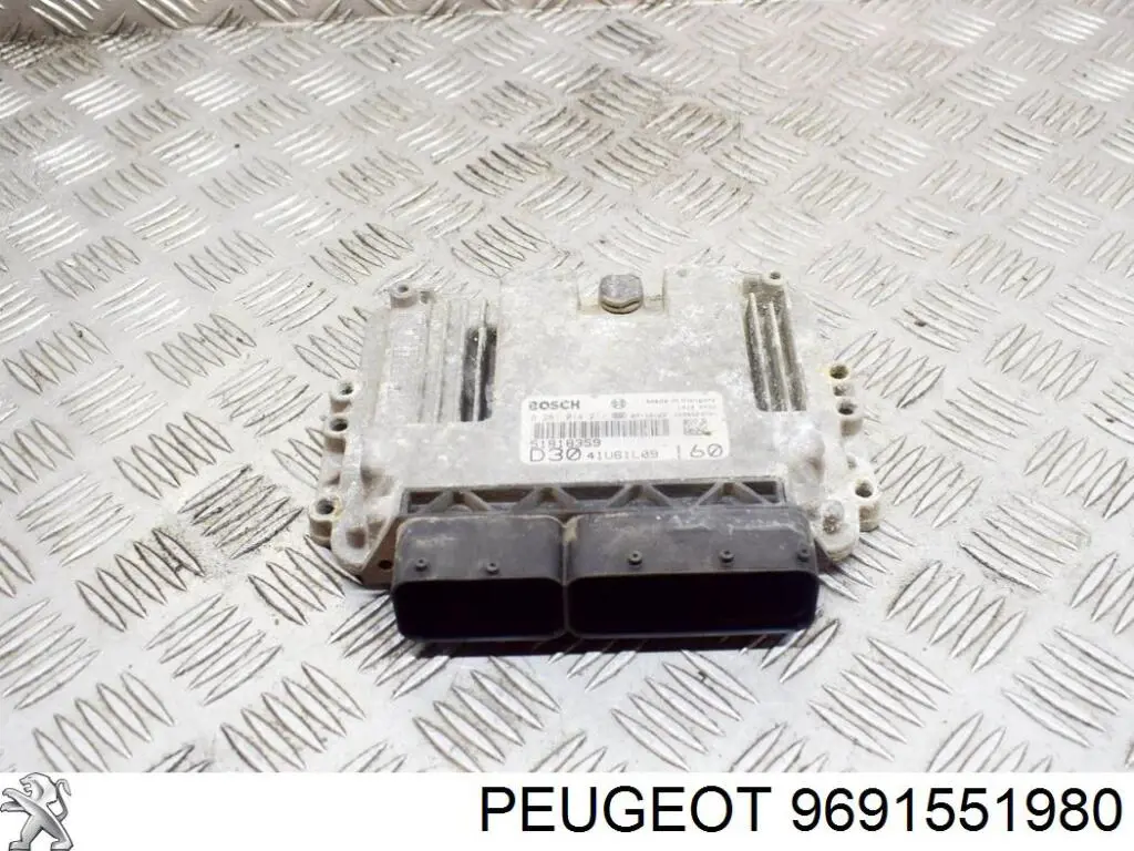 9691551980 Peugeot/Citroen 