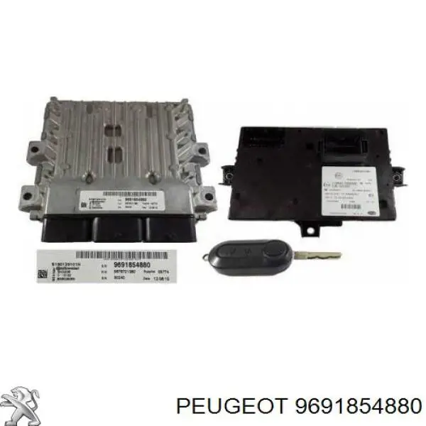 ЭБУ двигателем Peugeot/Citroen 9691680480 цена, от 1417.07 USD