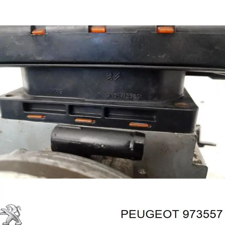  973557 Peugeot/Citroen