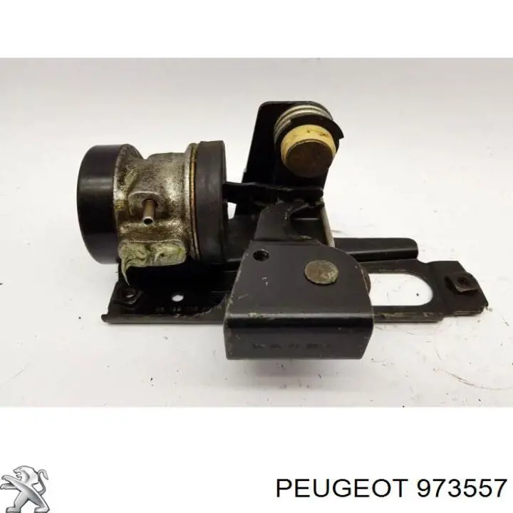  973557 Peugeot/Citroen