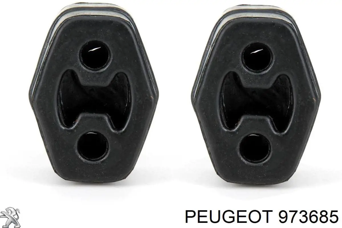 Жидкость для чистки сажекоптевых фильтров 973685 Peugeot/Citroen