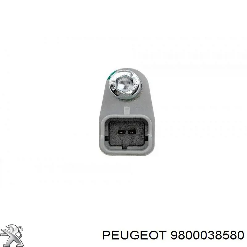 Sensor ABS trasero 9800038580 Peugeot/Citroen