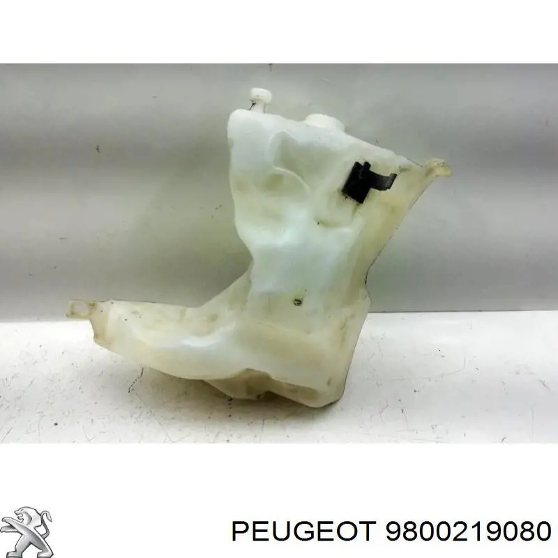 9800219080 Peugeot/Citroen 