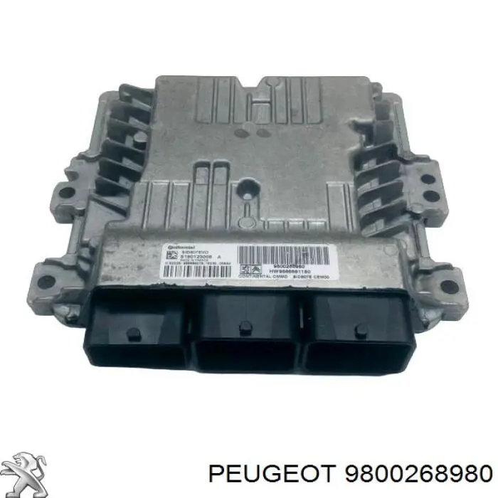 9800268980 Peugeot/Citroen 