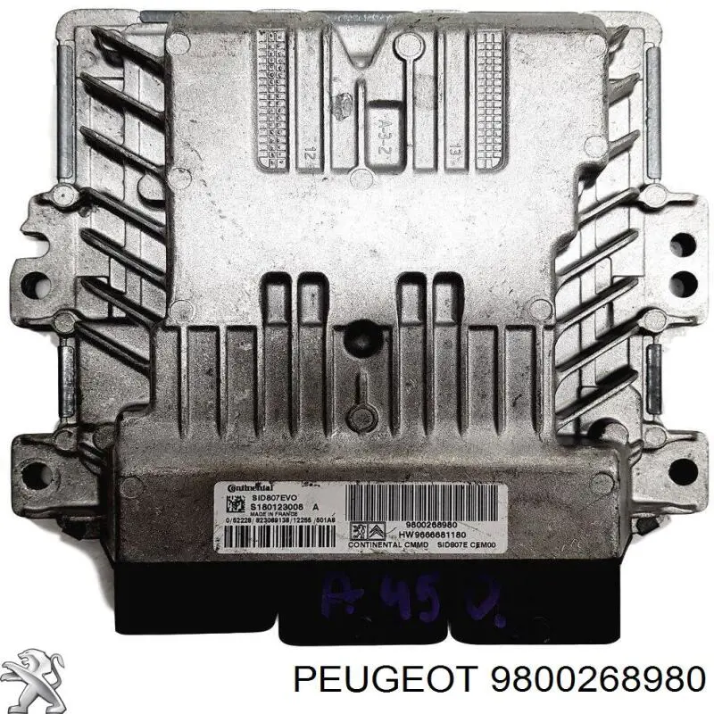  9800268980 Peugeot/Citroen