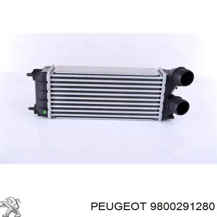 Интеркулер 9800291280 Peugeot/Citroen