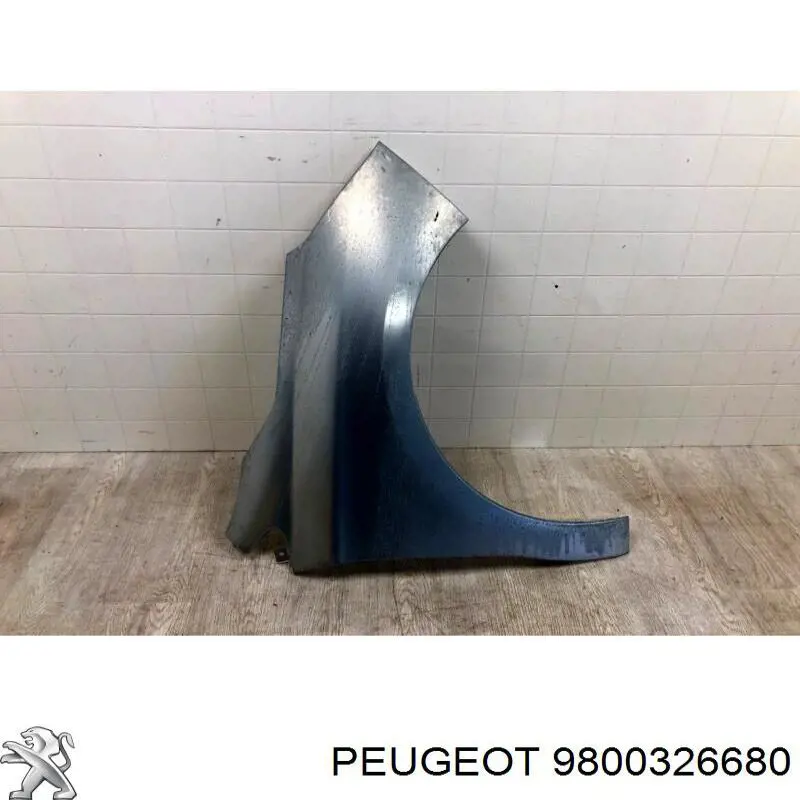 Pára-lama dianteiro direito para Citroen C4 RUSSIA B73