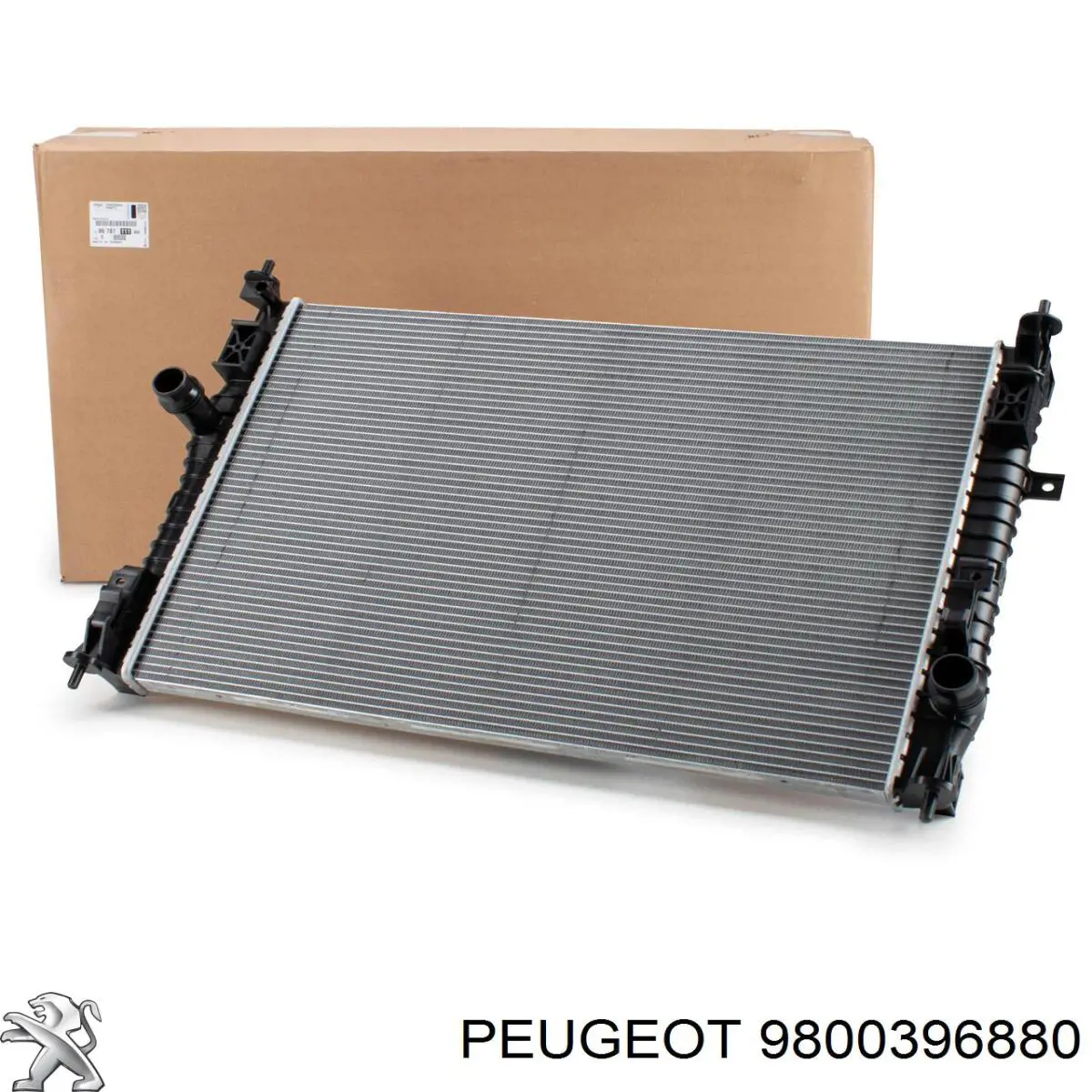 Прокладка корпуса термостата Peugeot/Citroen 9800396880