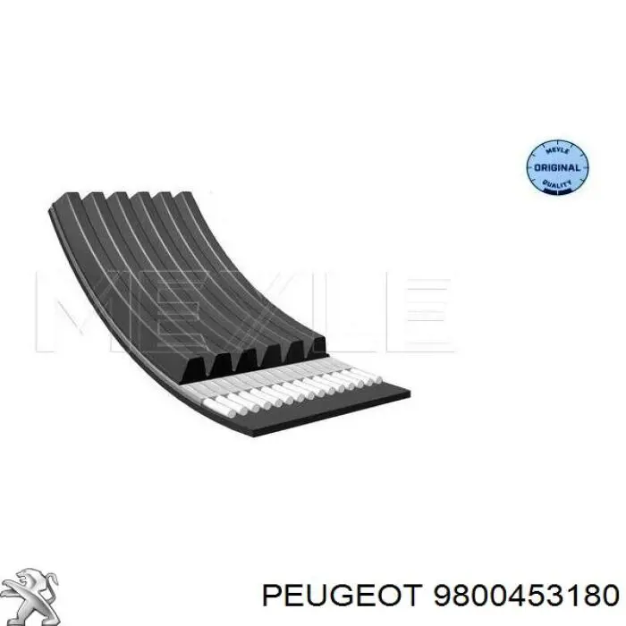9800453180 Peugeot/Citroen ремень генератора