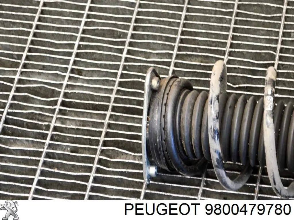 9800479780 Peugeot/Citroen Подушка амортизатора переднего