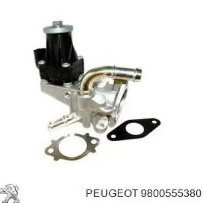 Válvula, AGR 9800555380 Peugeot/Citroen