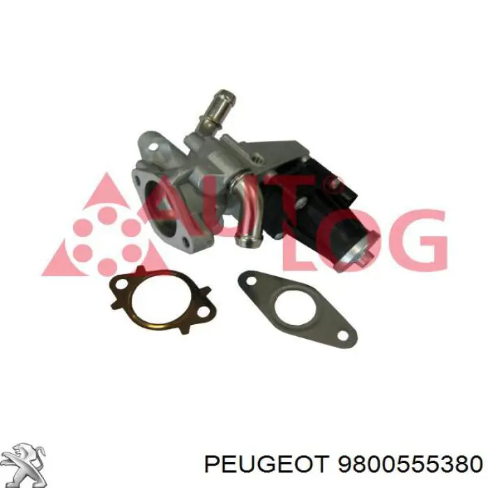 Купить 9800555380 Peugeot/Citroen Клапан EGR системы рециркуляции отработавших газов