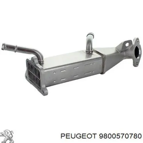Enfriador EGR de recirculación de gases de escape 9800570780 Peugeot/Citroen